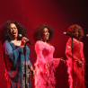 images/bekendeartiesten/the-supremers-bookings-agency-entertainmenthuis.png